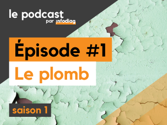 Diagnostic-plomb