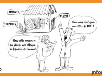 Sapito-une-bonne-lettre