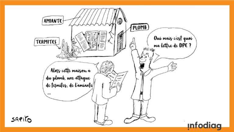Sapito-une-bonne-lettre