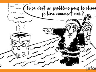 Sapito-noel-joyeuses fetes