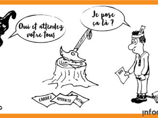 Sapito-justice-diag