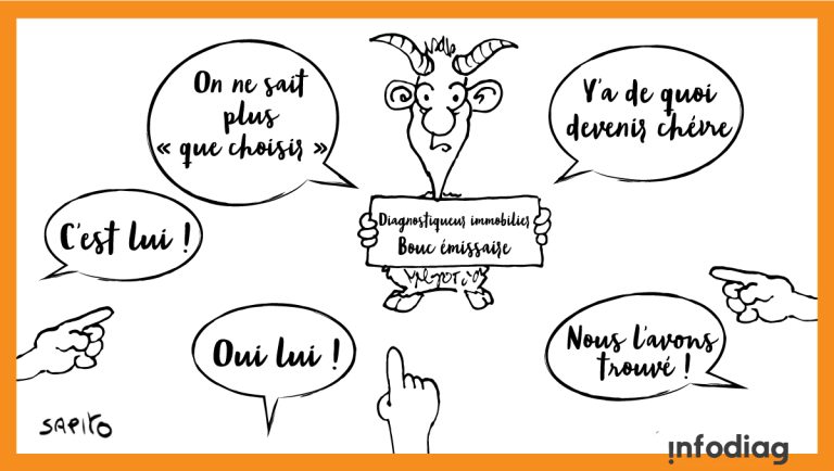 Sapito-que-choisir_DPE
