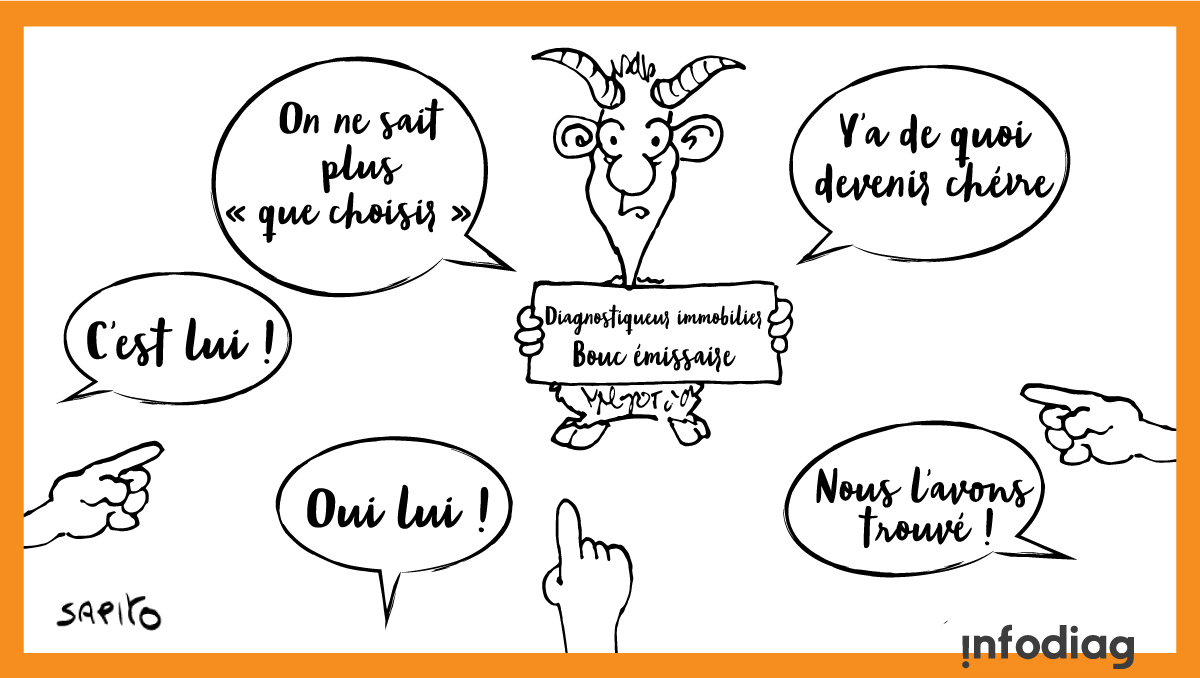 Sapito-que-choisir_DPE