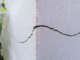 secheresse-retrait-gonflement-argiles-sinistre
