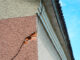maison-etat-des-risques