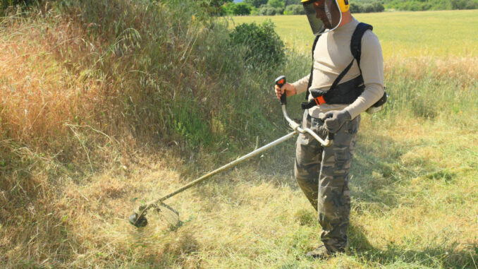 Débroussaillage Débroussaillage